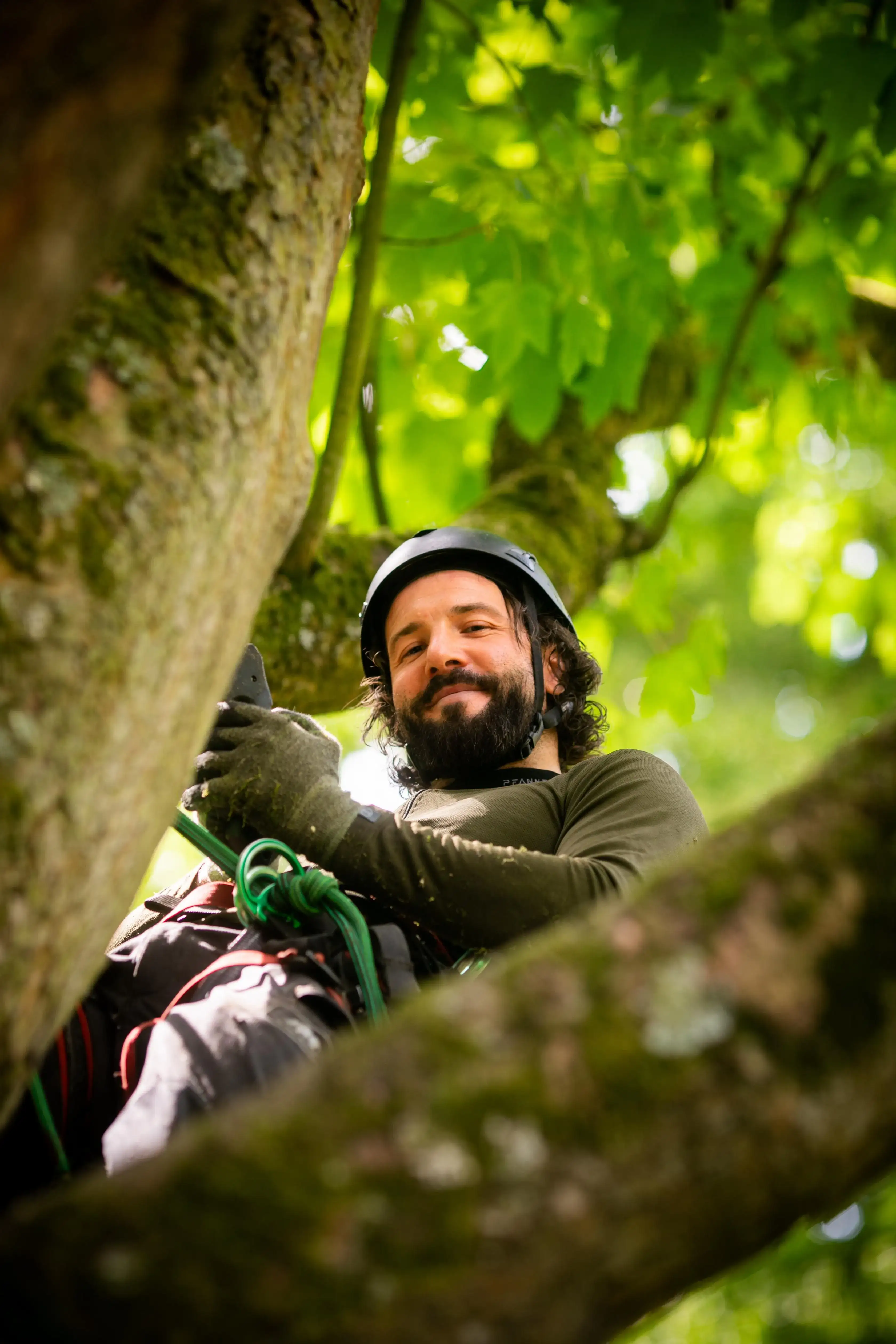 Fachberatung Baum in Düsseldorf – Baumkrieger bei der Arbeit