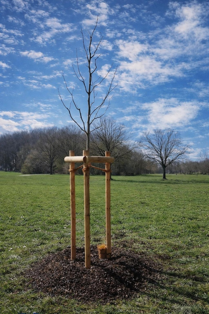 Schnittarten & Methoden