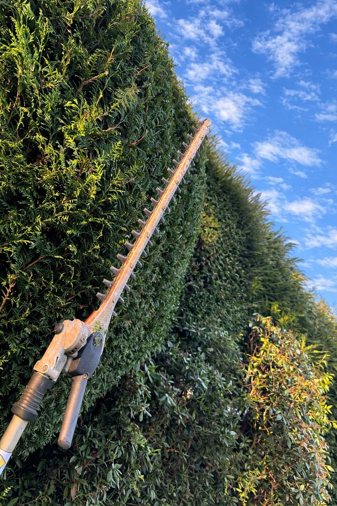 Großflächige Gehölzpflege